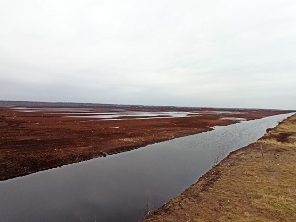 Natural-wealth-of-Latvia-2