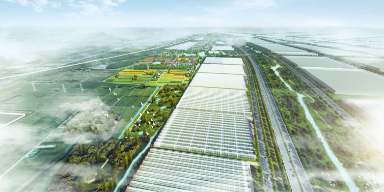 china-greenhouses-iiashan-scaled